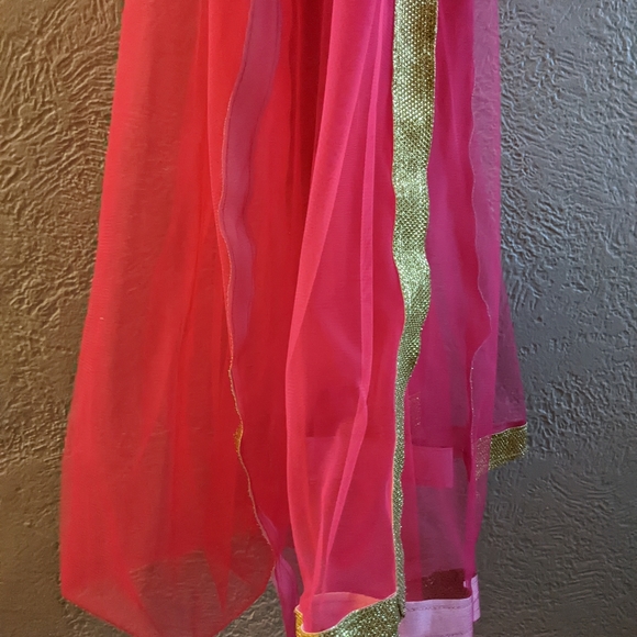 Stunning Lehenga! - Picture 4 of 11